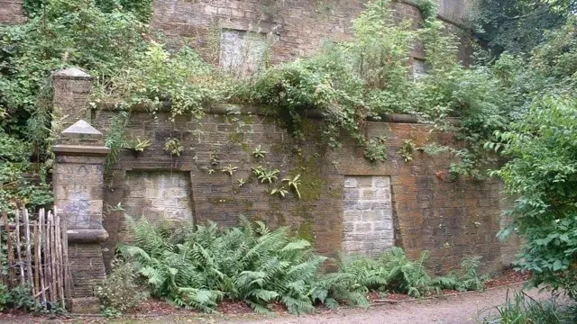 Catacombs in the cemetery