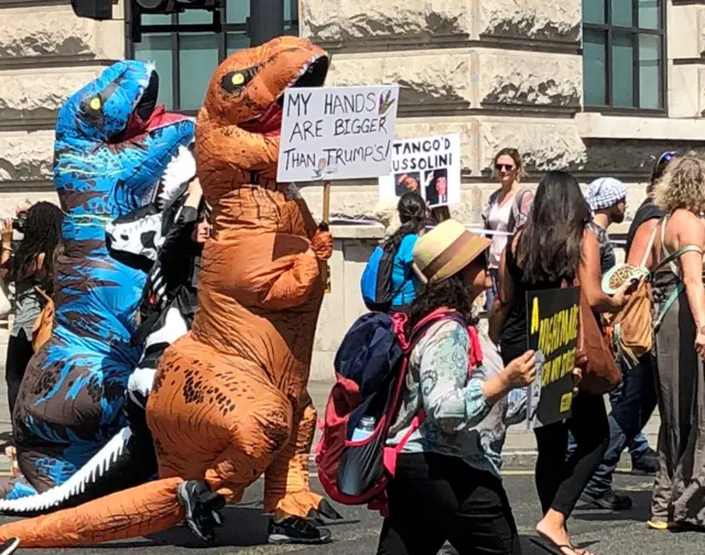 Protesters in central London