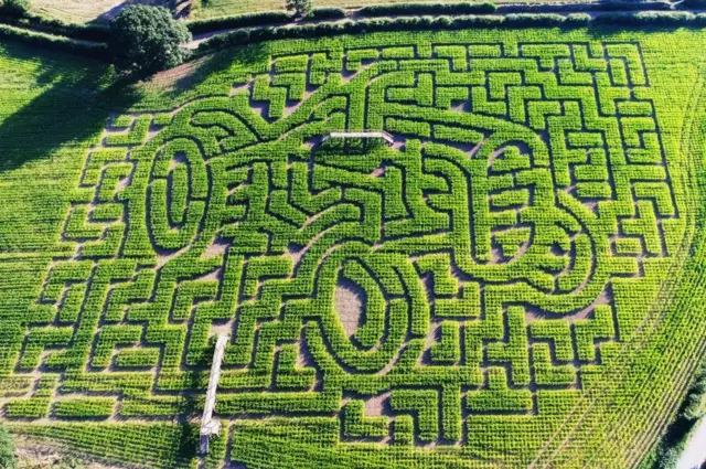 The Maize Maze in Cawthorne