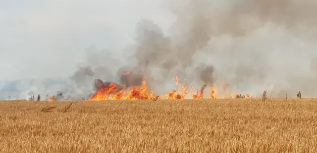 Grass fire