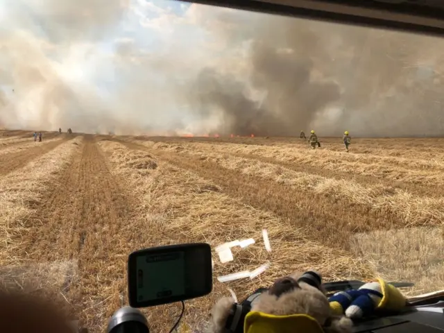 Grass fire