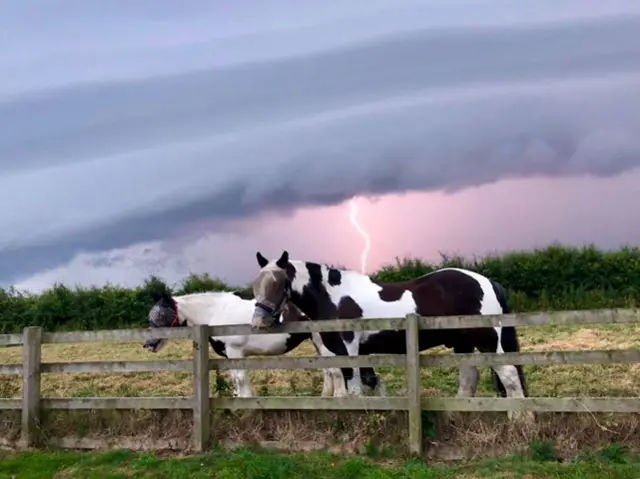 Horses and lightning