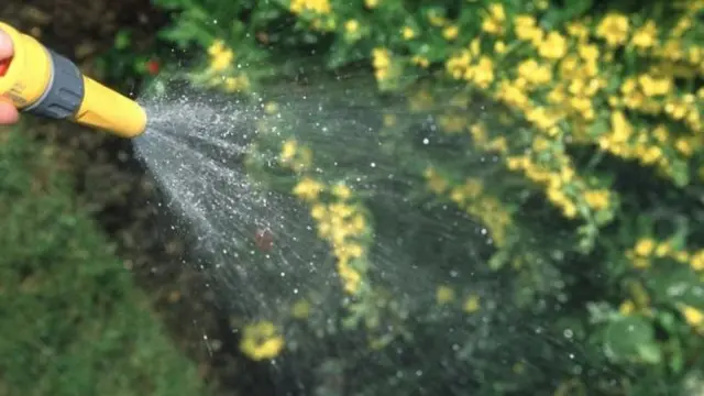 Water from a hopsepipe