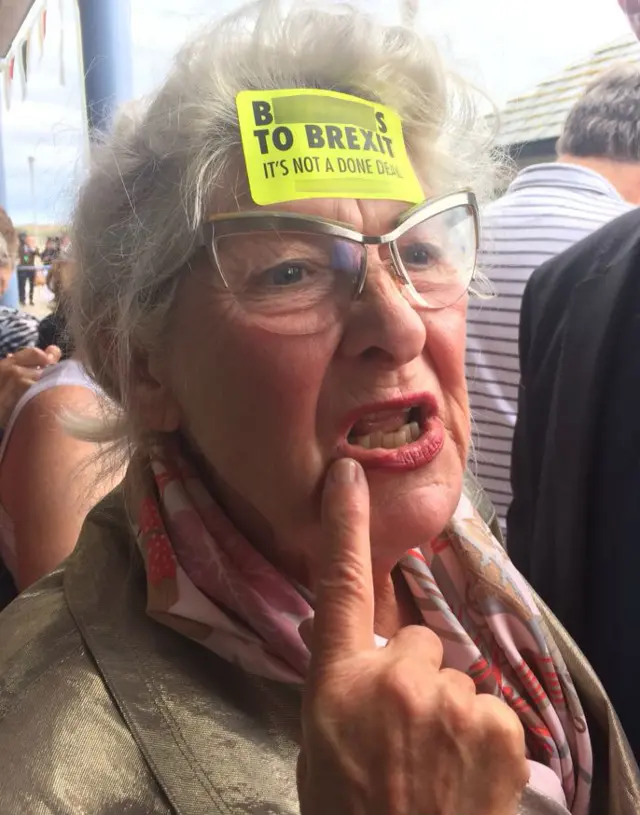 Brexit protester