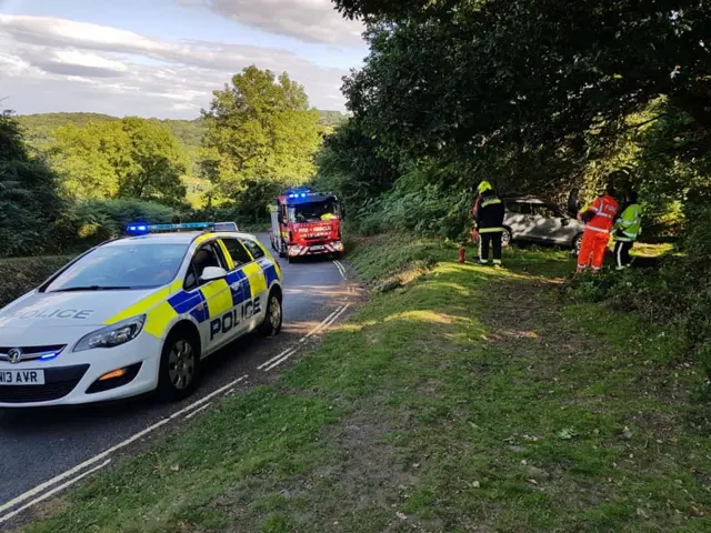 Car crash. Pic: Buckfastleigh Fire Station/Facebook