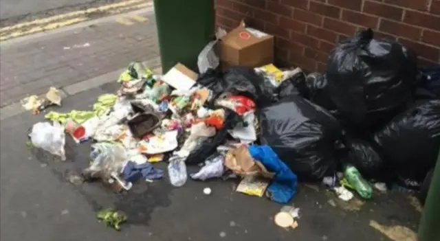 Scunthorpe Litter