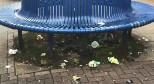 Scunthorpe Litter