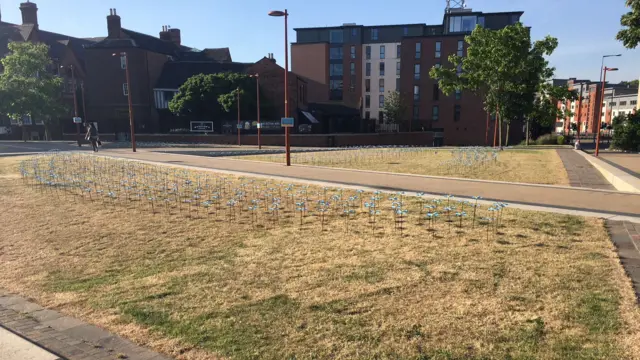 Flowers in Jubilee Square