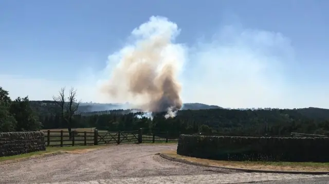 Woodland fire near Alton Towers