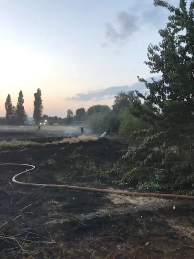 Grass fire