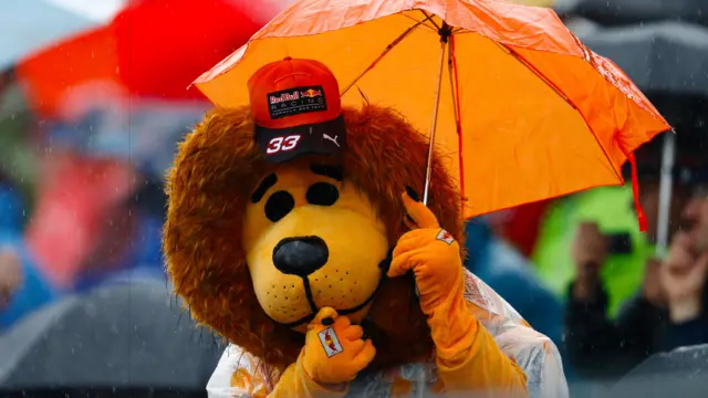 verstappen lion