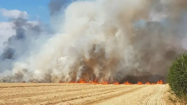 field fire