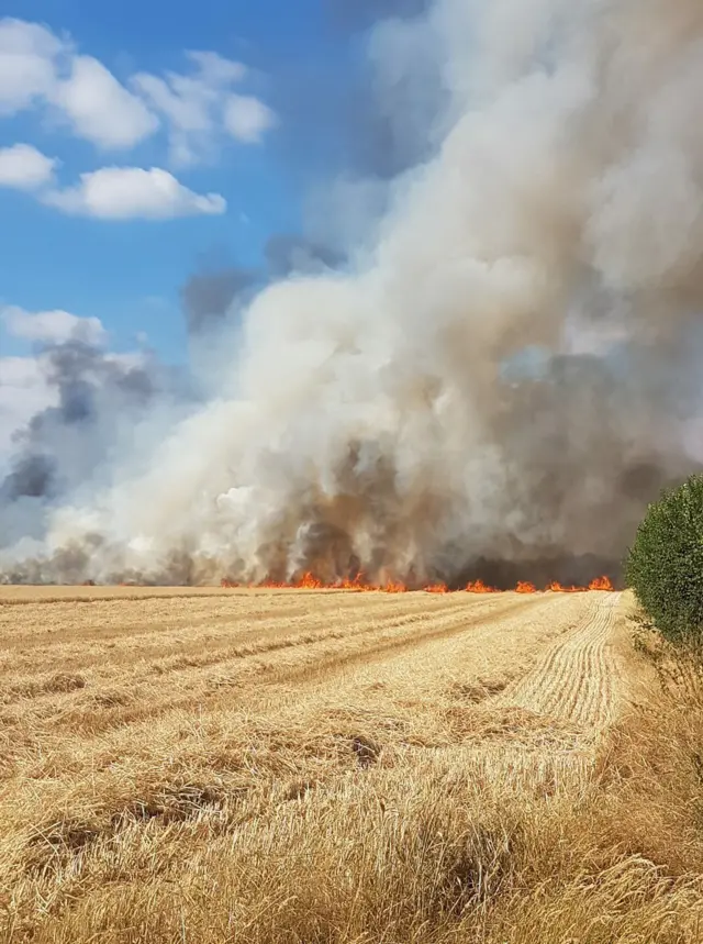 Field fire