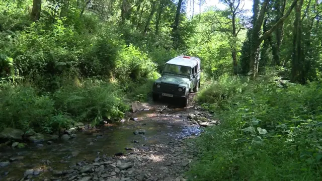 Four-wheel drive vehicle