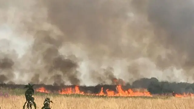 great hale fire