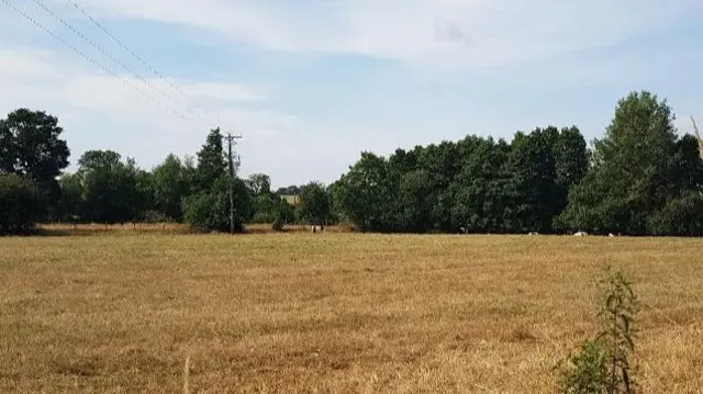 Brown grass in part of Staffordshire and Cheshire