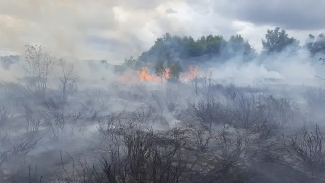 Grass fire