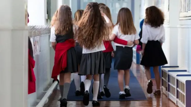 Group of schoolgirls walking down a school corridor, wearing their school uniform