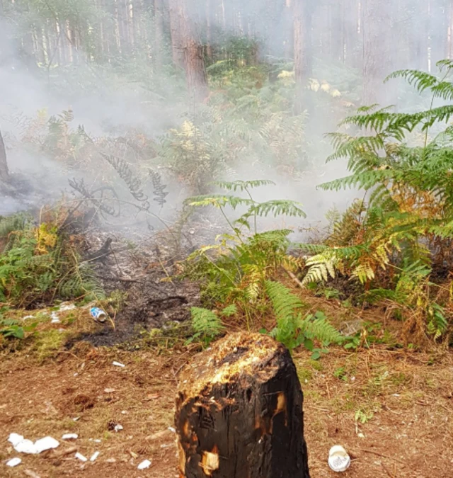 Clipstone forest fire