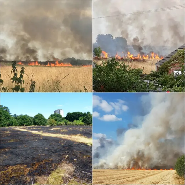 grass fire collage