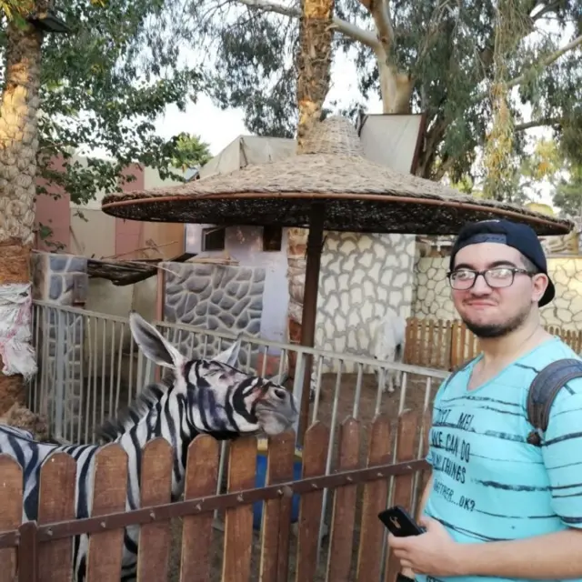 A photo of what appears to be black paint rubbing off a donkey