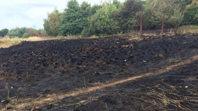 Area burnt by fire