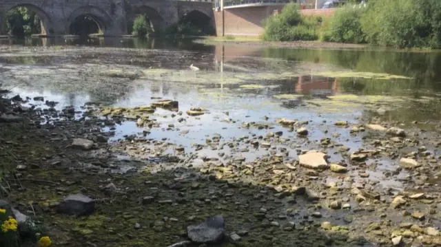 River Wye today in Hereford