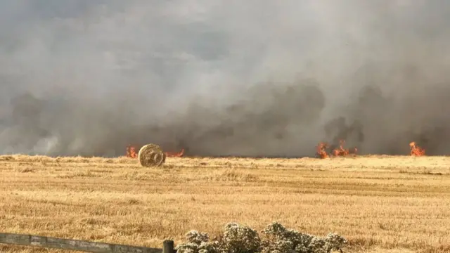 Fire in field