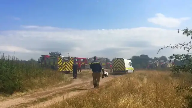 Scene of grass fire