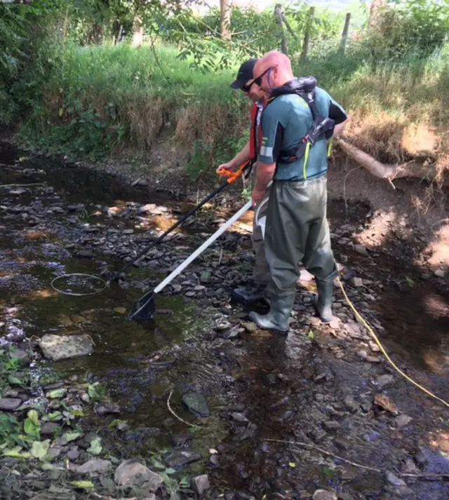 Fish rescue