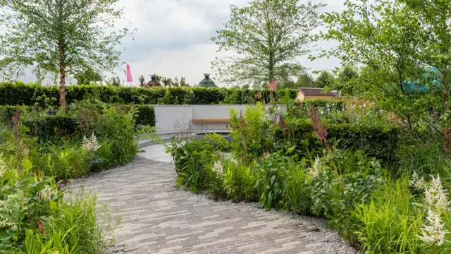 Tom Simpson's winning garden