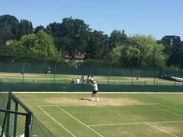 Wimbledon