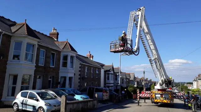 Parrot rescue