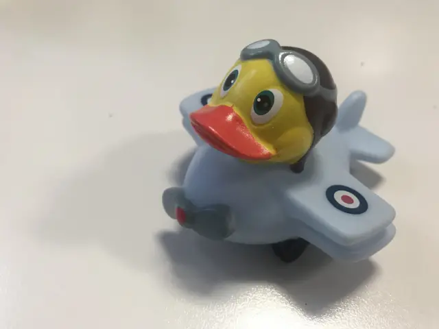 Rubber duck