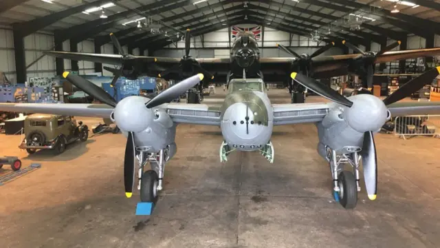 Mosquito