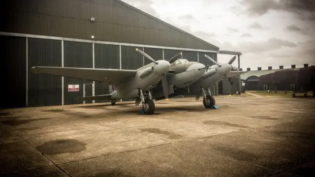 Mosquito