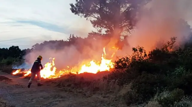 Firefighter tackling grass fire