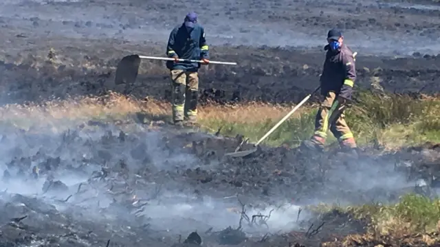 Firefighters tackling grass fires