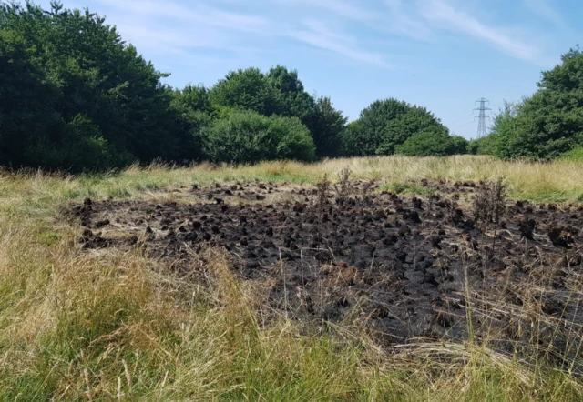 Grass fire in Long Eaton