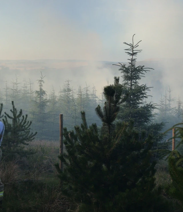 Goytslough Quarry fire