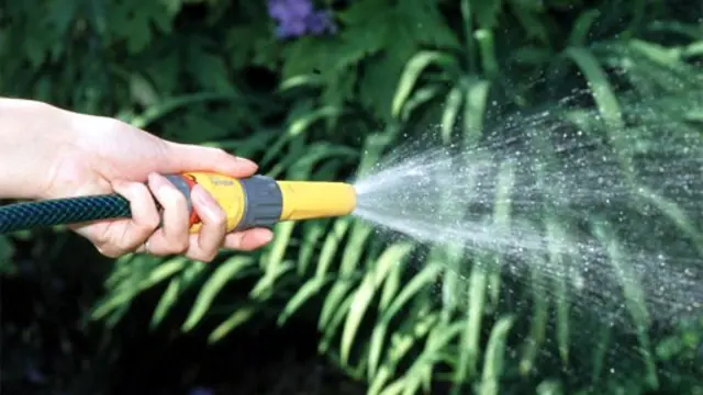 A Hose pip spraying water.