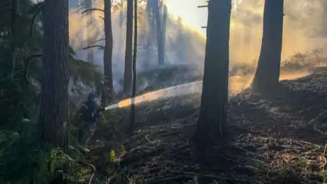 Firefighter in woodland