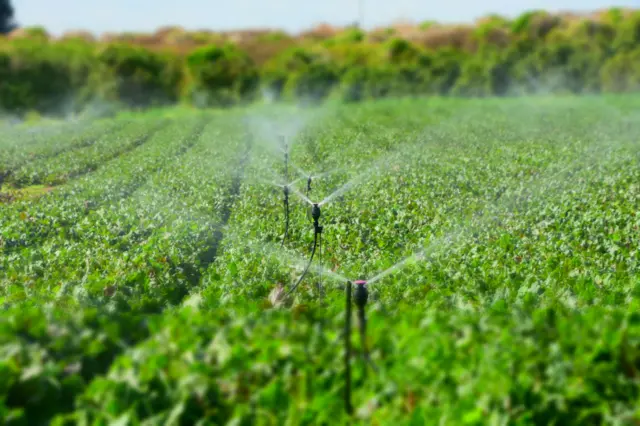 A field being watered