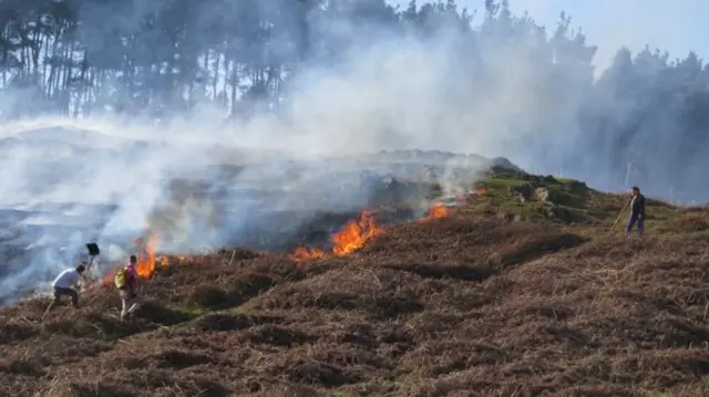 Bradgate Park fire