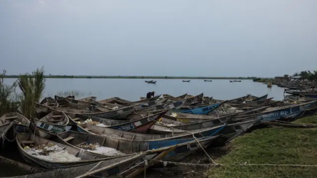 Fishing boats