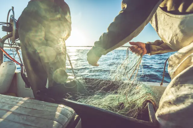 Commercial fisherman