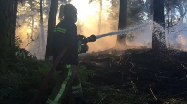 firefighter at Alton