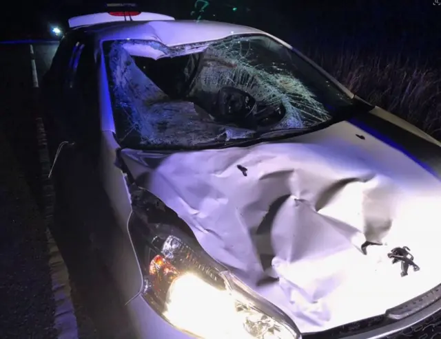 Car damaged by cow