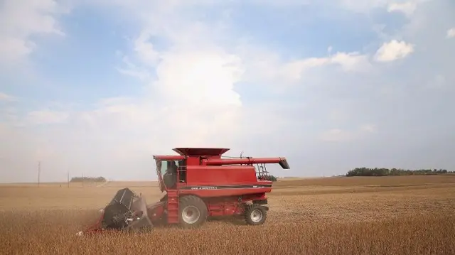 Minnesota soya farm