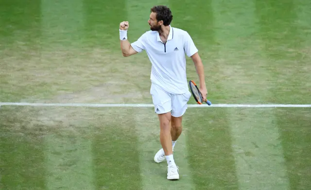 Gulbis